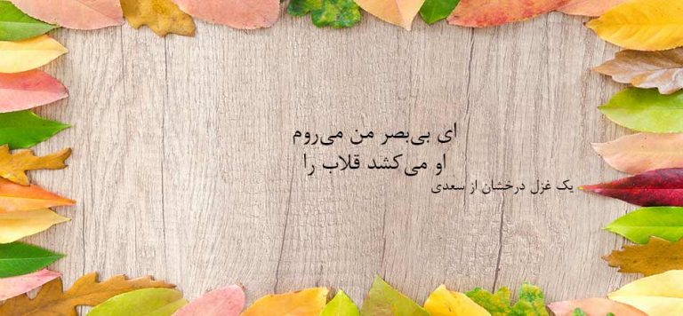 ای بی بصر من می‌روم او می‌کشد قلاب را، شعری زیبا از سعدی
